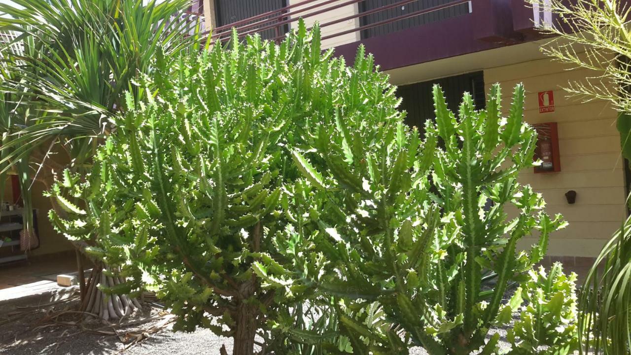 Beautiful Apartment Hercules Costa del Silencio Exterior foto
